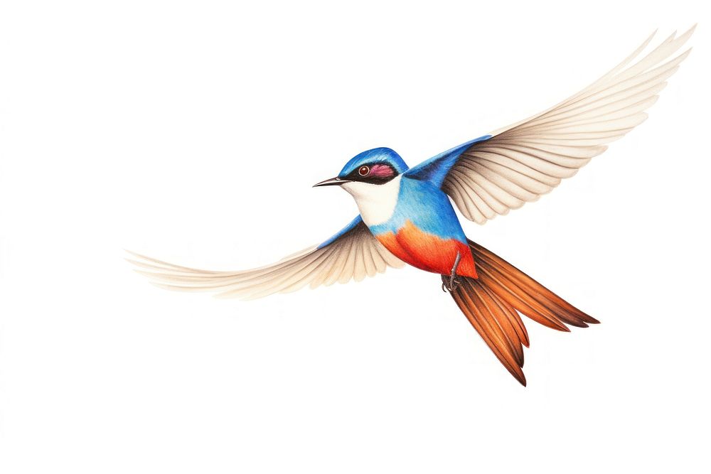 Flying bird. AI generated Image by rawpixel.