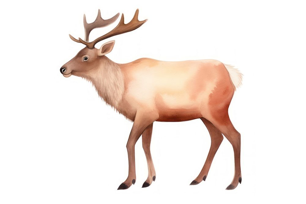 Reindeer wildlife animal mammal. AI generated Image by rawpixel.