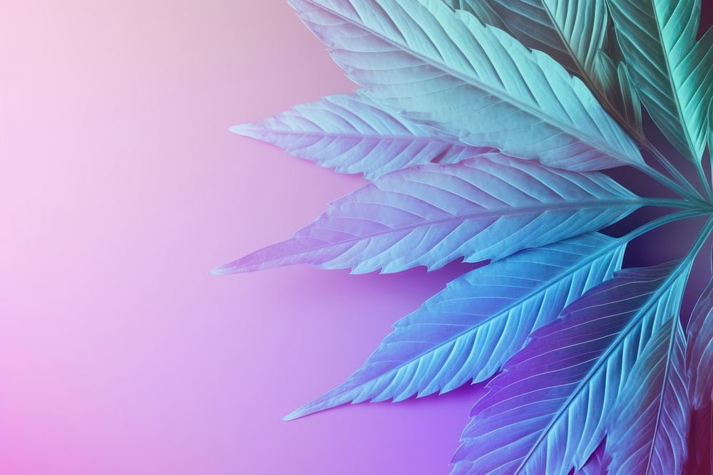Holographic leaf backgrounds plant abstract. AI generated Image by rawpixel.