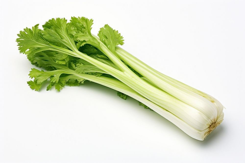 Celery vegetable plant herbs. AI generated Image by rawpixel.