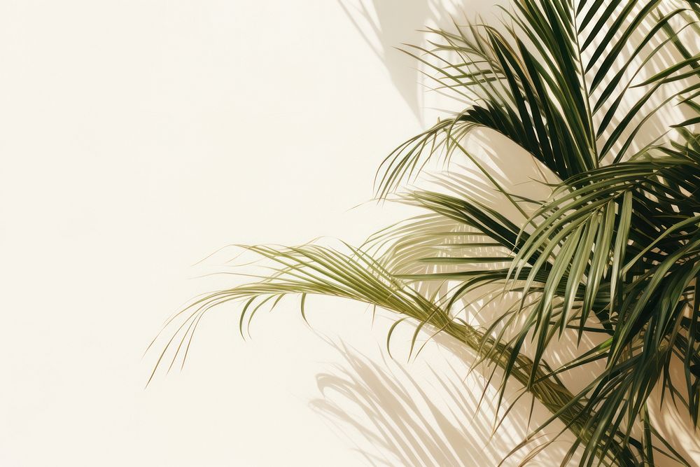 Tropical palm leaves backgrounds outdoors nature. AI generated Image by rawpixel.
