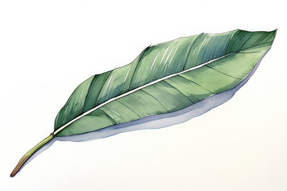 Banana leaf sketch plant art. AI generated Image by rawpixel.