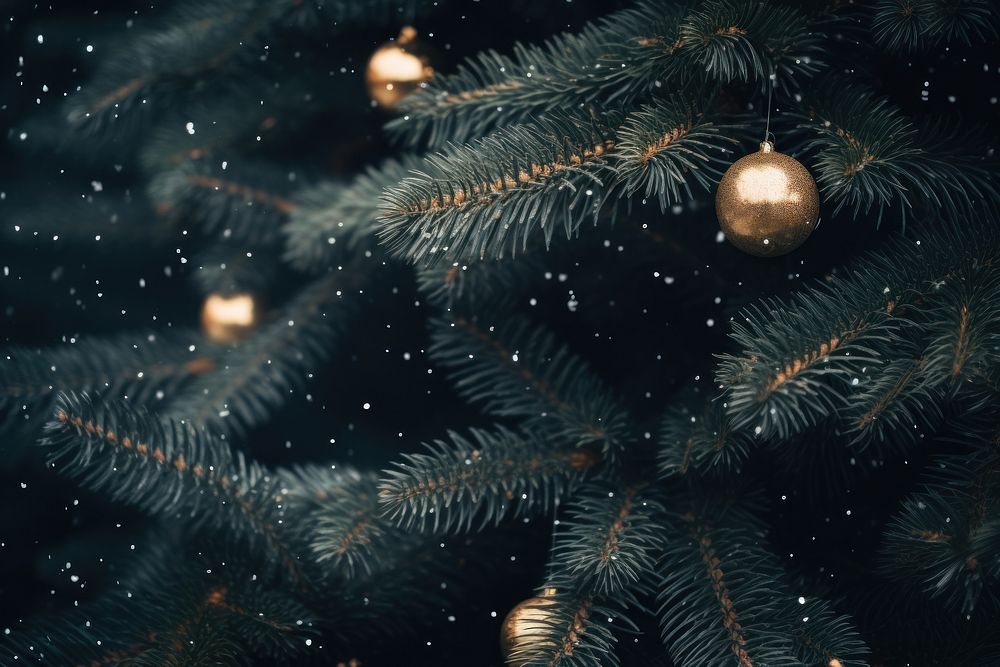 Christmas tree backgrounds plant illuminated. AI generated Image by rawpixel.