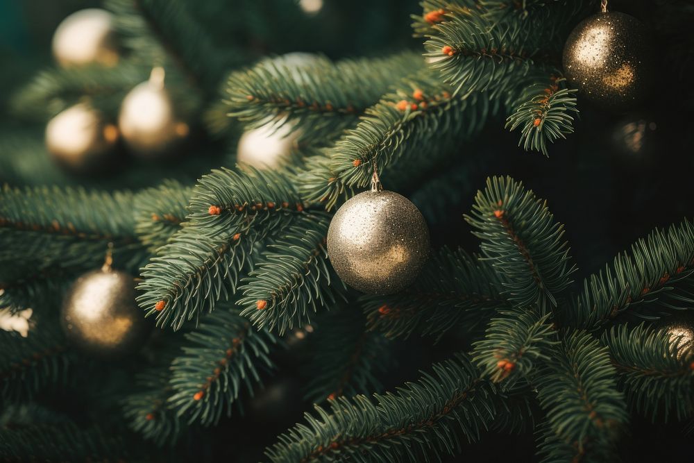 Christmas tree backgrounds plant celebration. AI generated Image by rawpixel.