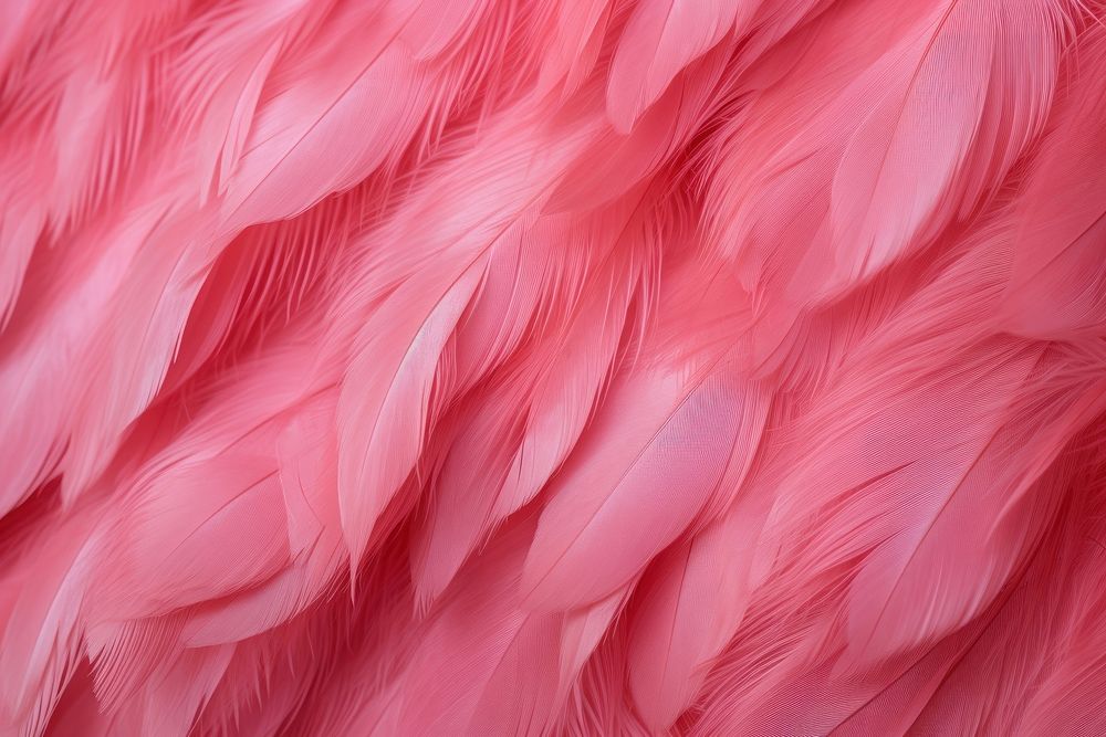 Flamingo feather backgrounds pattern bird. AI generated Image by rawpixel.