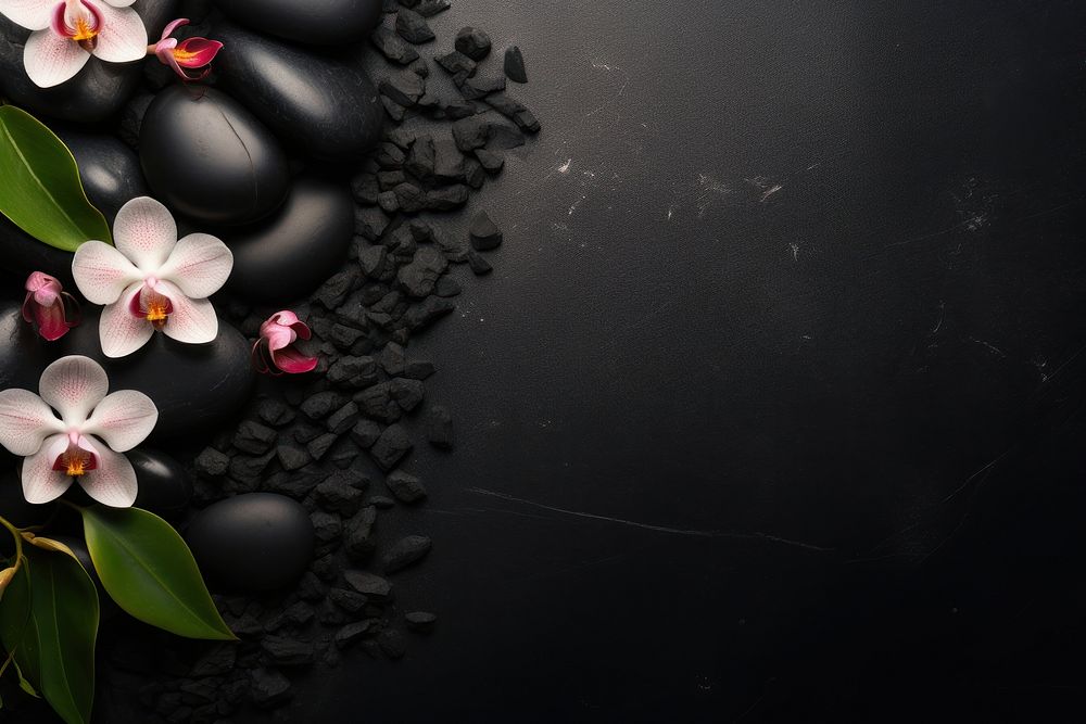 Black spa flower petal plant. AI generated Image by rawpixel.
