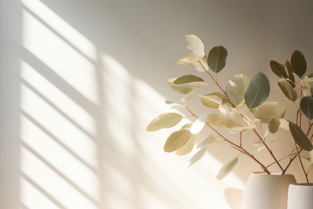 Leaves window plant light. AI generated Image by rawpixel.