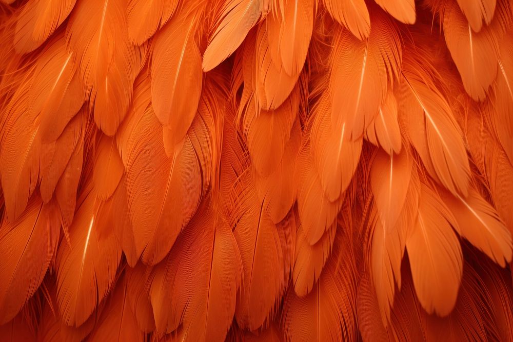 Backgrounds feather softness textured. AI generated Image by rawpixel.