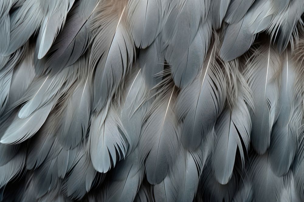 Animal backgrounds feather bird. AI generated Image by rawpixel.