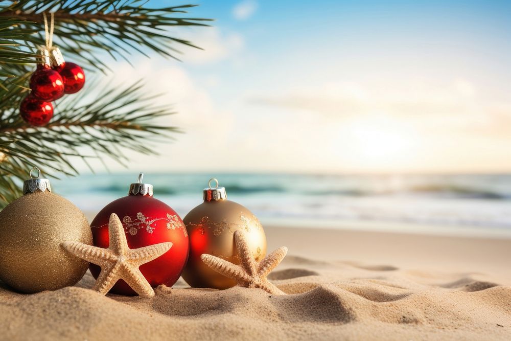 Christmas baubles christmas beach plant. AI generated Image by rawpixel.