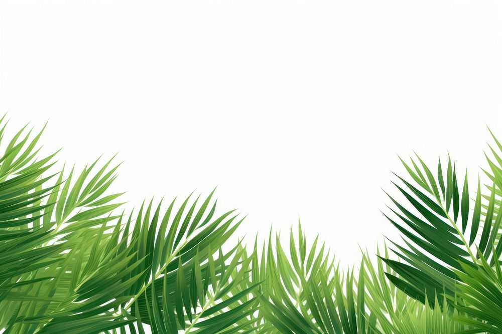 Palm leaf tropical backgrounds vegetation outdoors. AI generated Image by rawpixel.