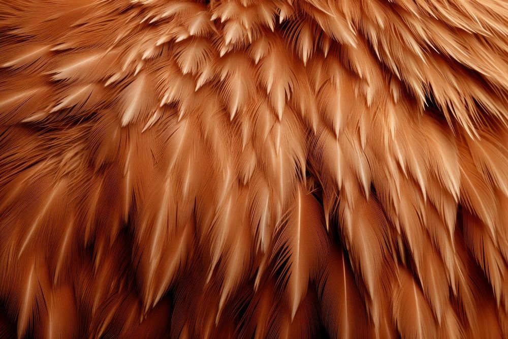 Eagle backgrounds texture animal. AI generated Image by rawpixel.