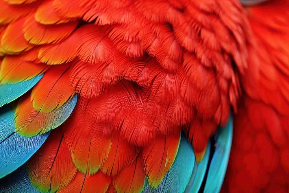 Parrot backgrounds animal bird. AI generated Image by rawpixel.