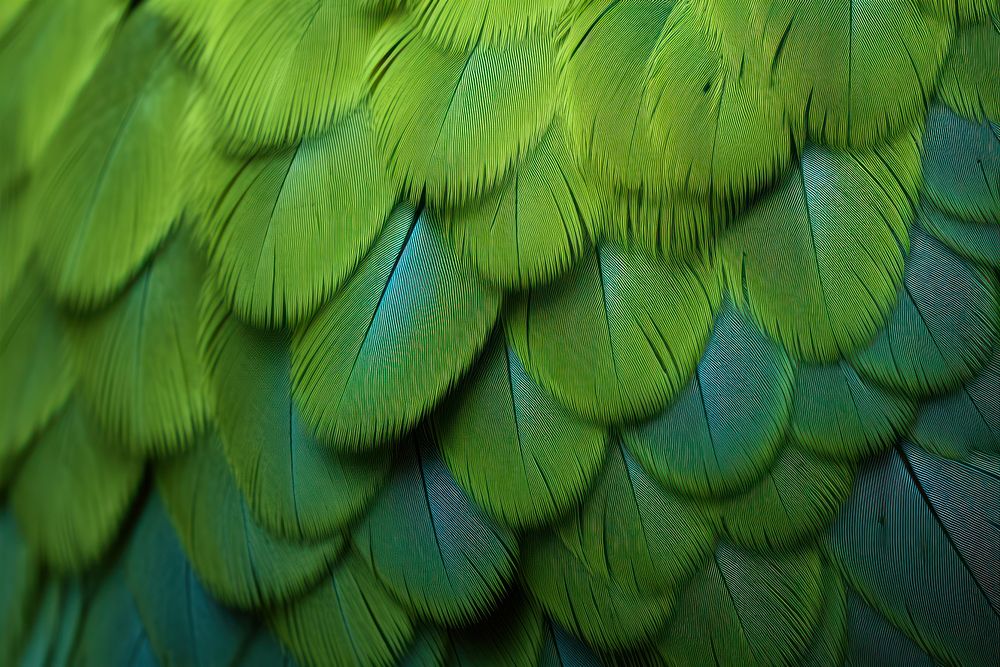 Parrot backgrounds animal bird. AI generated Image by rawpixel.