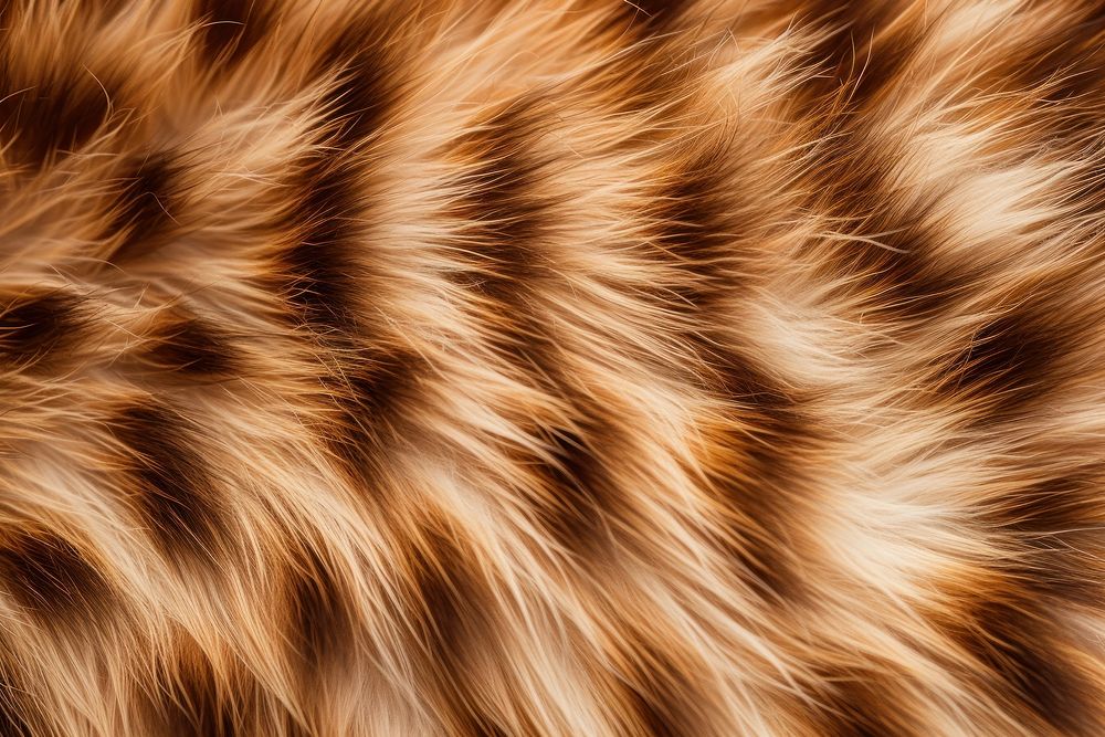 Calico cat fur backgrounds texture. AI generated Image by rawpixel.