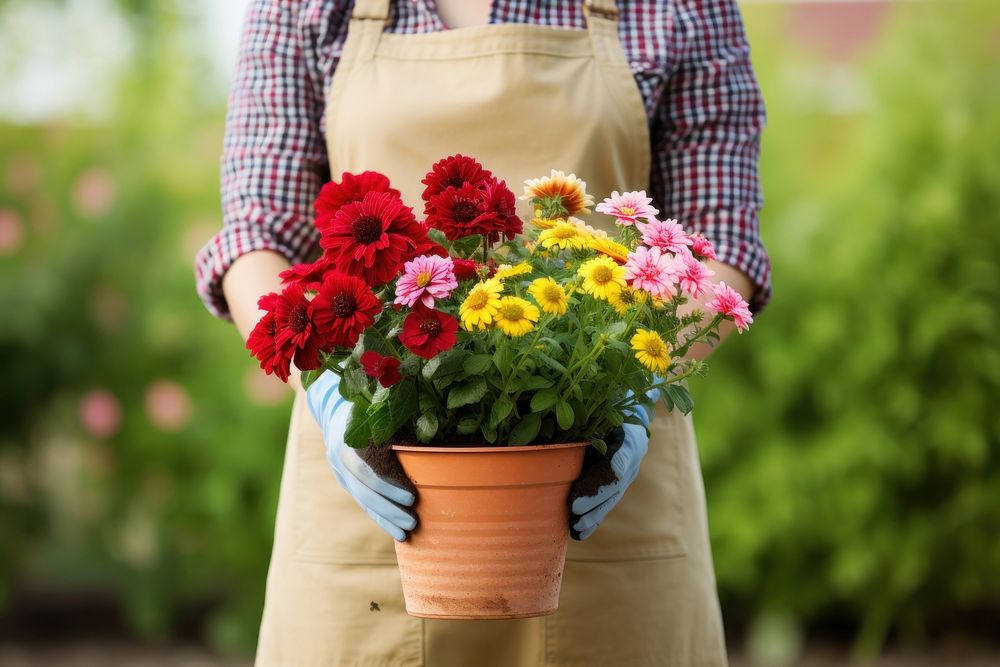 Woman gardener holding flower gardening outdoors. AI generated Image by rawpixel.