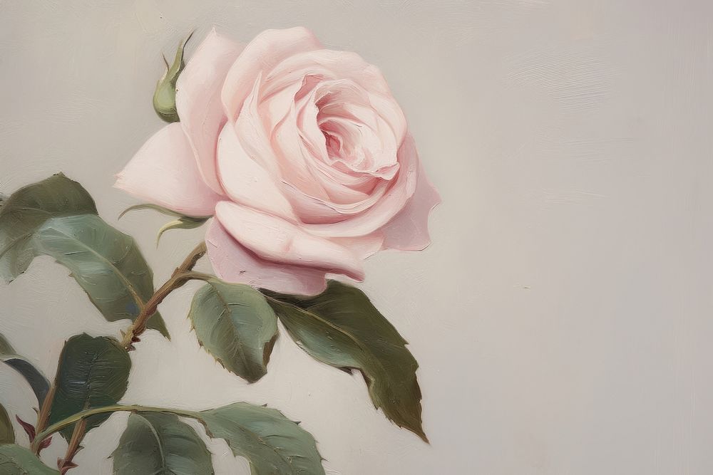 Pink rose border painting flower petal. AI generated Image by rawpixel.