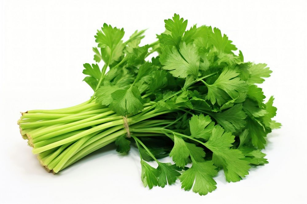 Parsley bunch plant green. AI generated Image by rawpixel.