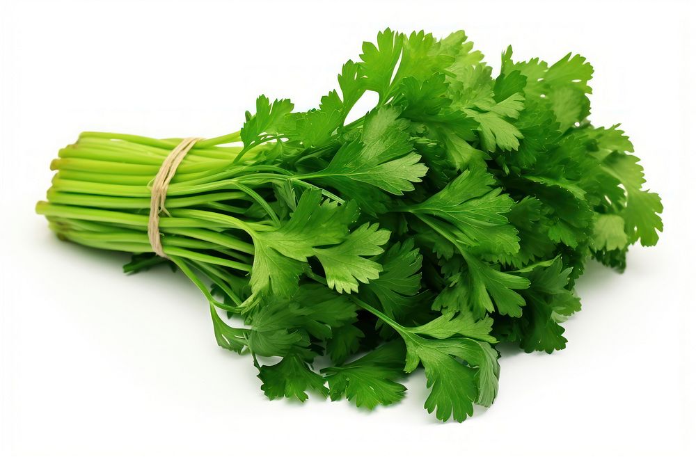 Parsley plant bunch green. AI generated Image by rawpixel.