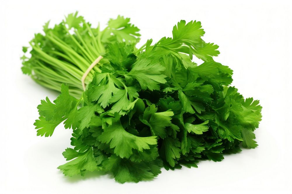Parsley plant green herbs. AI generated Image by rawpixel.
