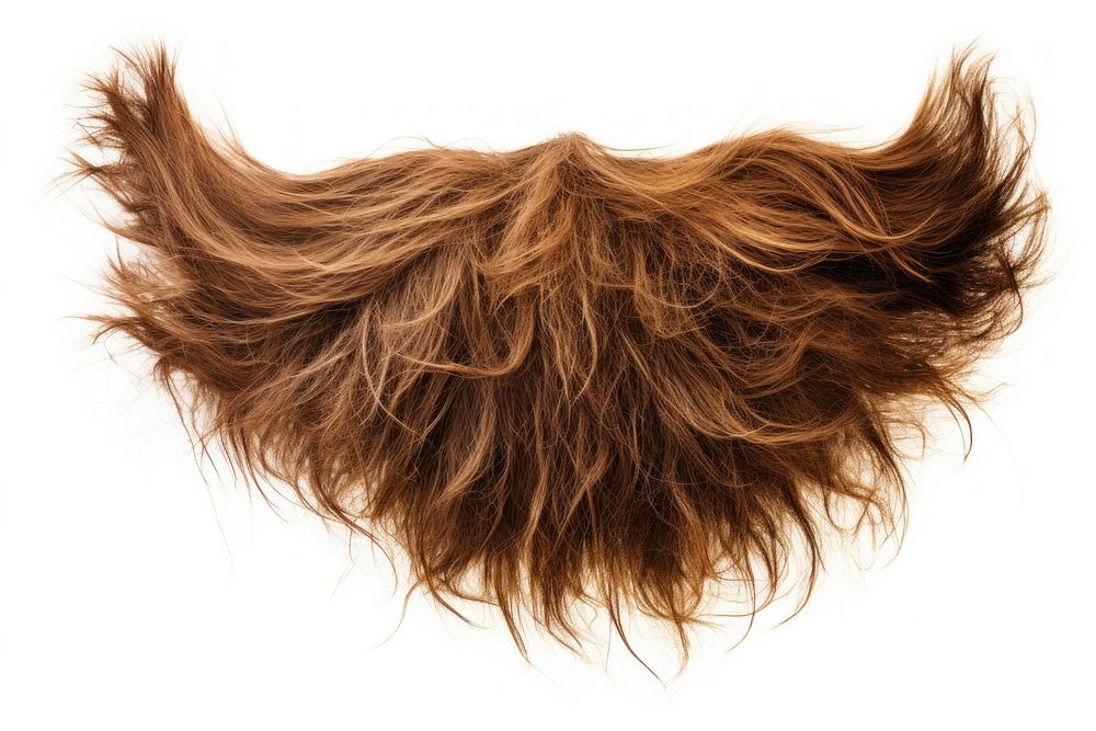 Disheveled brown beard adult hairstyle moustache. AI generated Image by rawpixel.