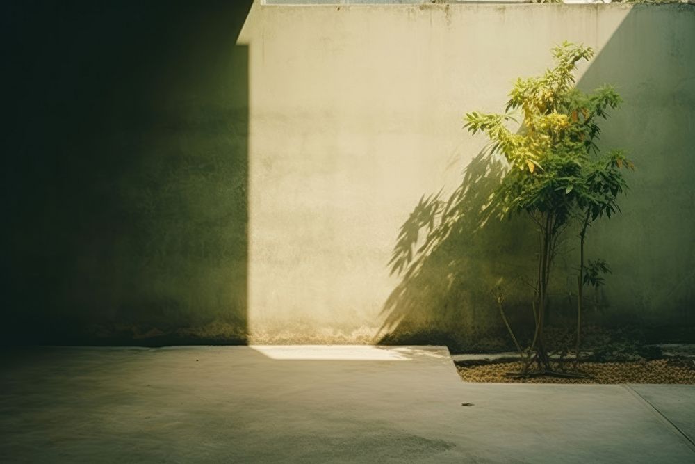 Architecture outdoors nature light. AI generated Image by rawpixel.