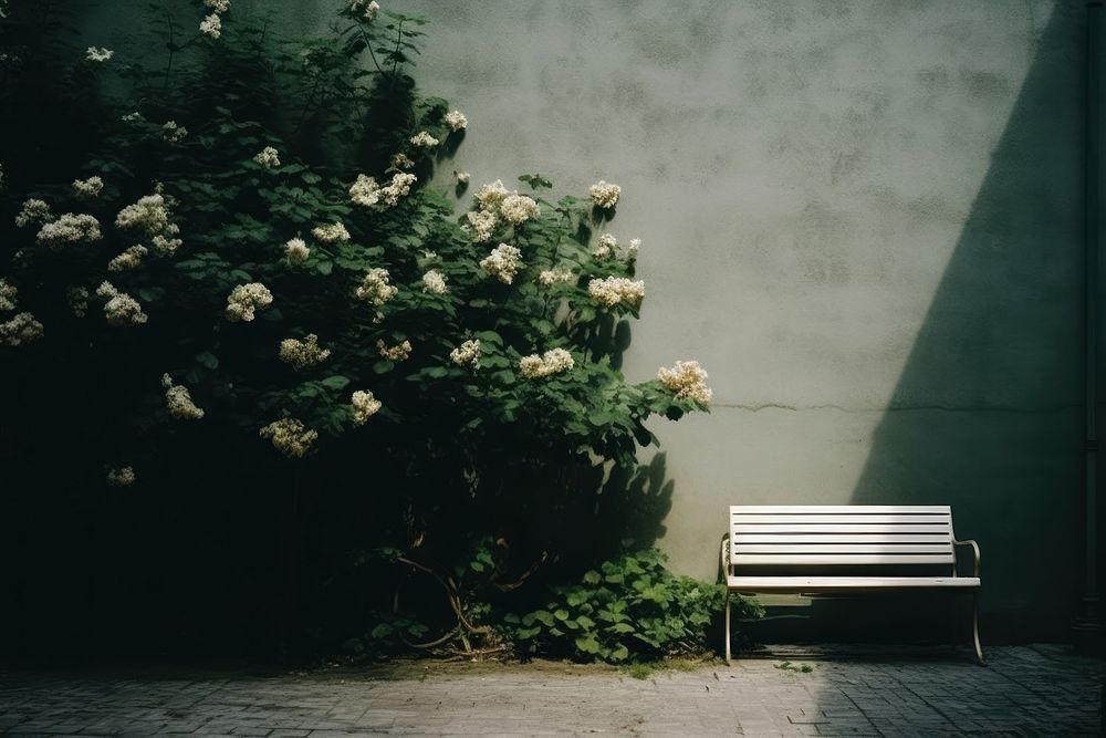 Furniture nature light bench. AI generated Image by rawpixel.