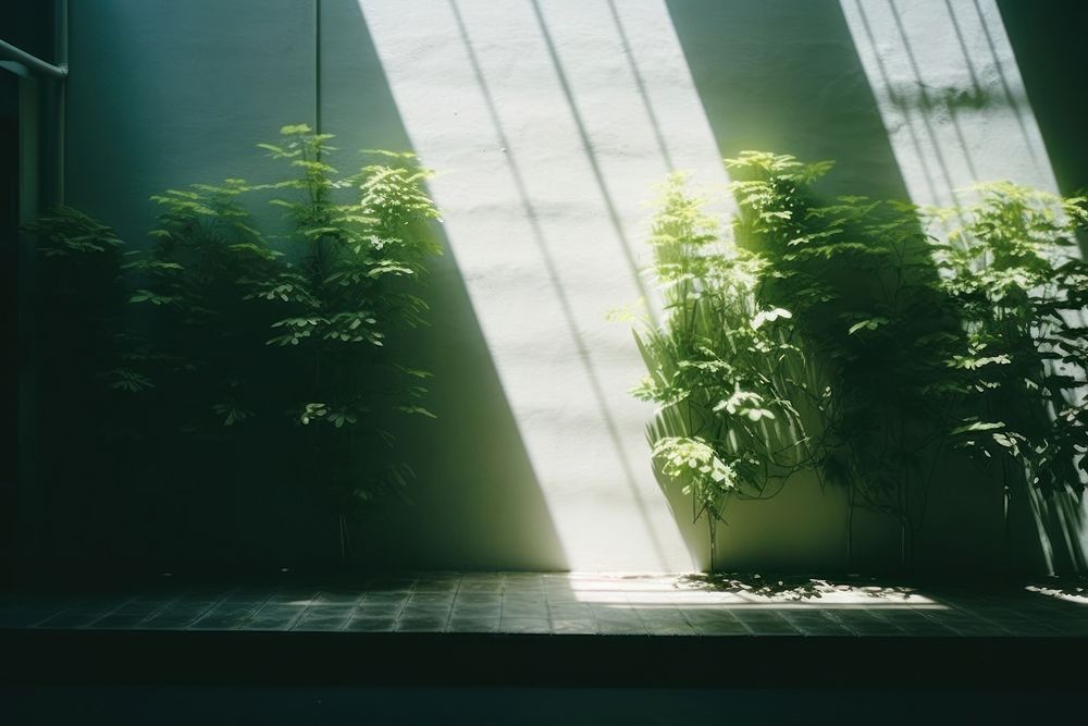 Nature windowsill plant light. AI generated Image by rawpixel.