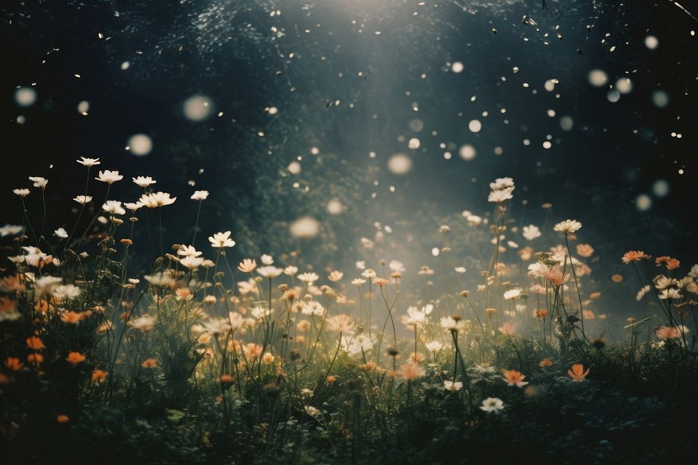Flower garden nature light outdoors. AI generated Image by rawpixel.