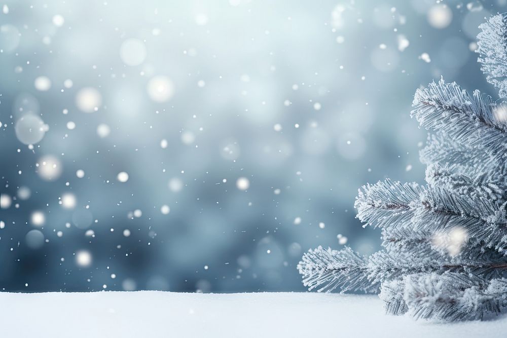 Winter frost snow backgrounds. AI generated Image by rawpixel.