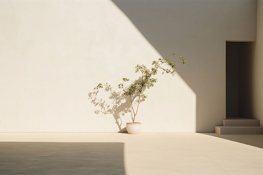 Gallery gardenl architecture building bonsai. AI generated Image by rawpixel.
