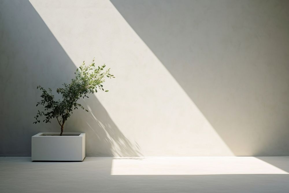 Gallery gardenl architecture window nature. AI generated Image by rawpixel.