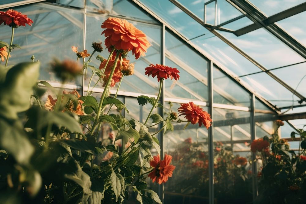 Flower greenhouse outdoors nature. AI generated Image by rawpixel.