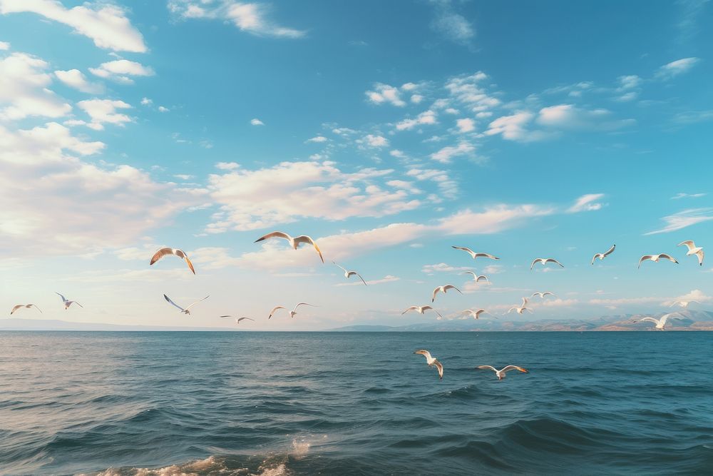 Seagulls sky outdoors horizon. AI generated Image by rawpixel.