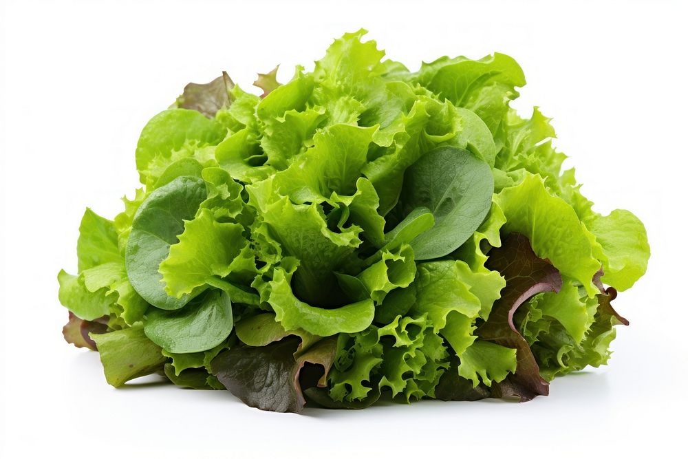 Mixed green Salad vegetable lettuce salad. AI generated Image by rawpixel.