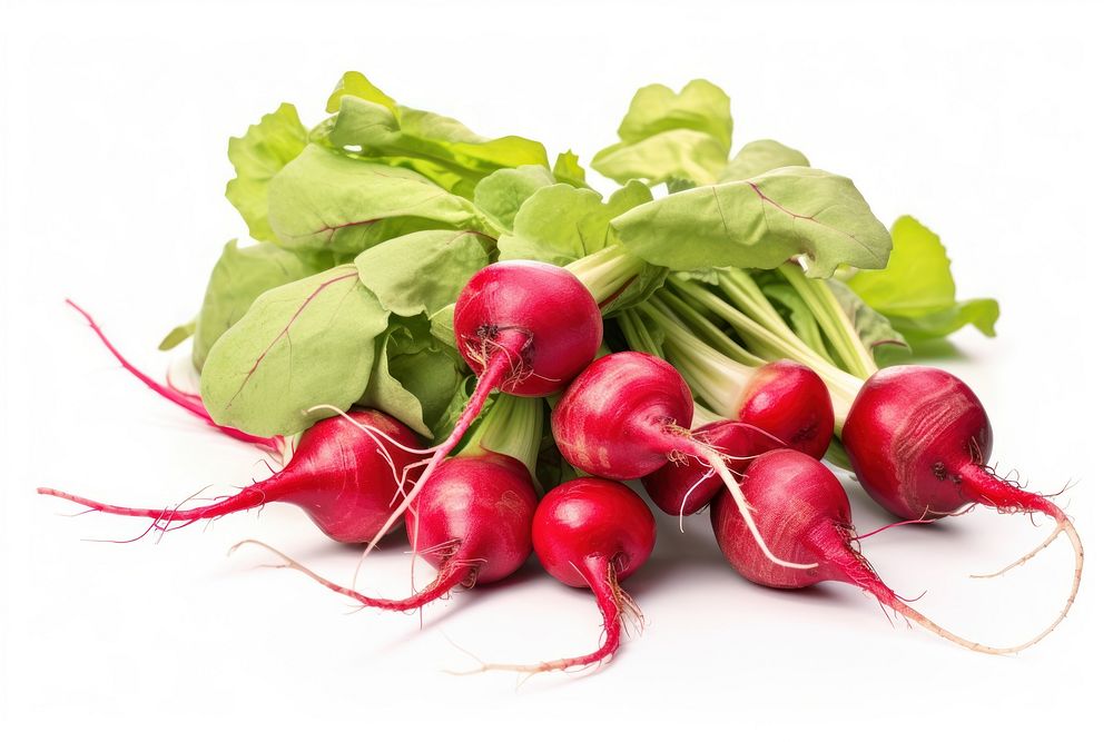Red radishs vegetable plant food. AI generated Image by rawpixel.