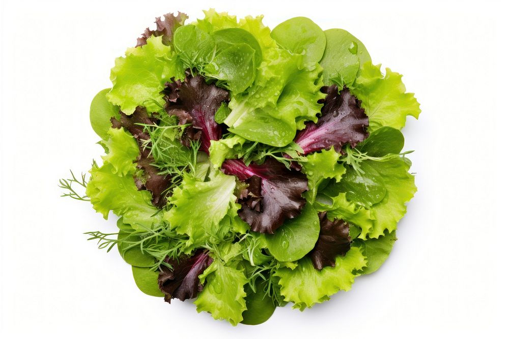 Mixed green salad vegetable lettuce plant. AI generated Image by rawpixel.