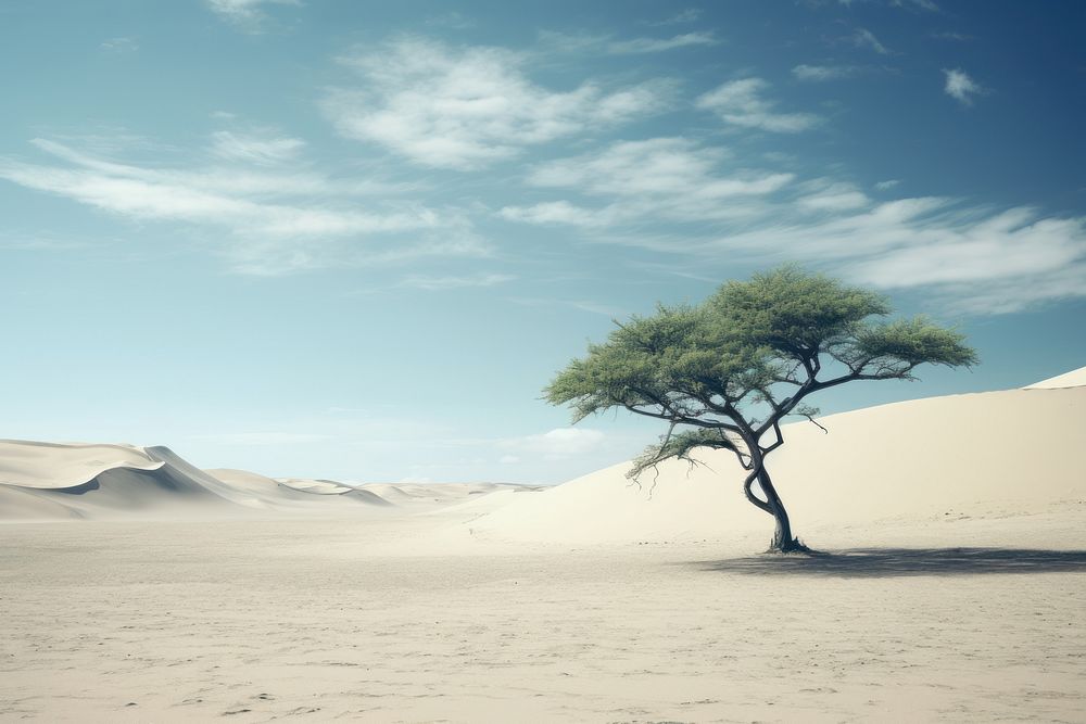 Sand landscape tree outdoors. AI generated Image by rawpixel.
