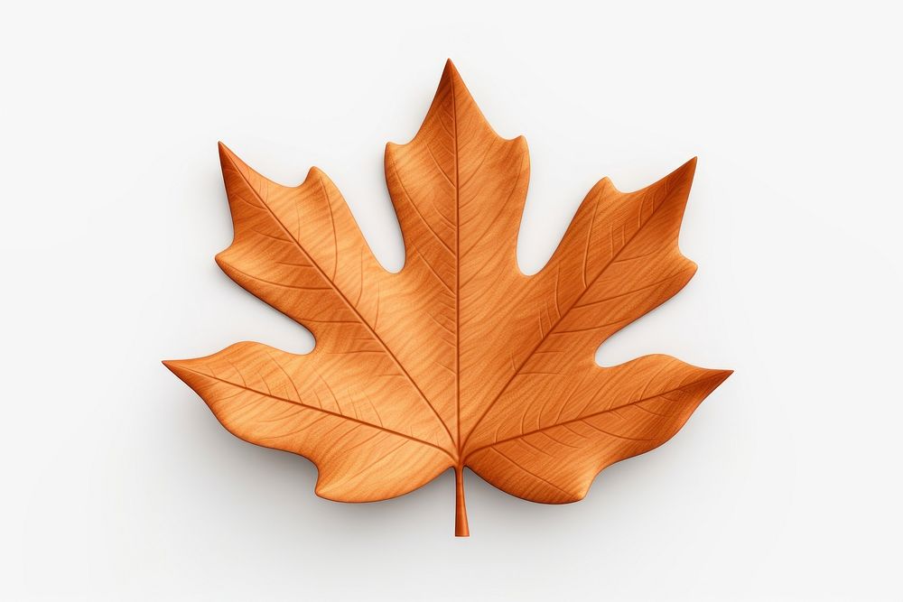 Autumn leaf icon shape maple plant tree. AI generated Image by rawpixel.
