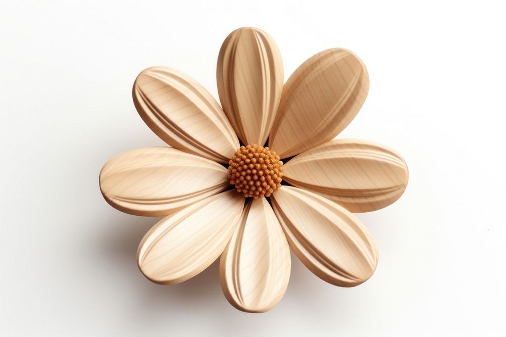 Daisy shape wood flower brooch. AI generated Image by rawpixel.