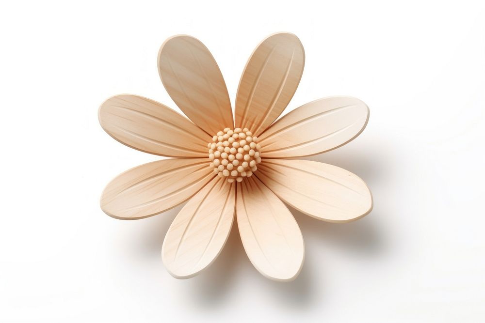 Daisy shape flower brooch plant. AI generated Image by rawpixel.