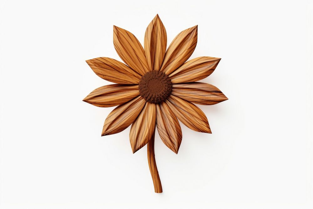 Sunflower plant wood white background. AI generated Image by rawpixel.