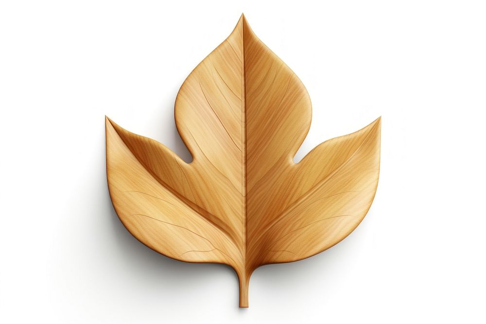 Leaf icon shape plant wood. AI generated Image by rawpixel.