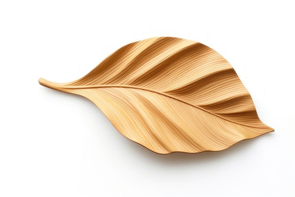 Leaf wood plant white background. AI generated Image by rawpixel.