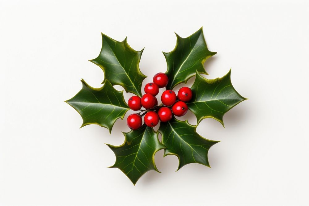 Christmas holly plant leaf food. AI generated Image by rawpixel.