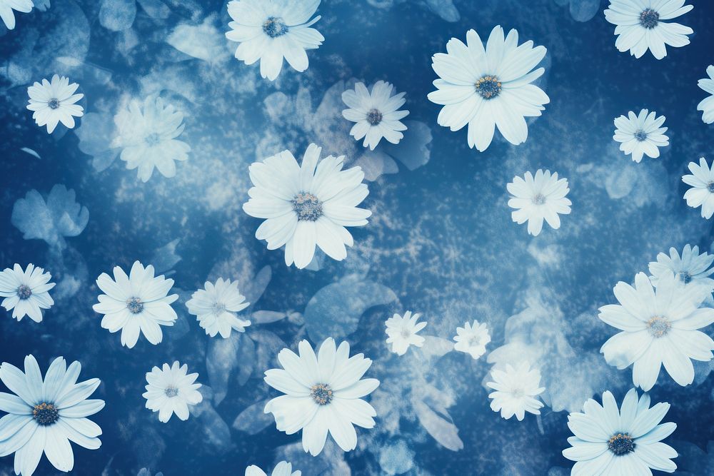 Daisy pattern backgrounds outdoors flower. AI generated Image by rawpixel.