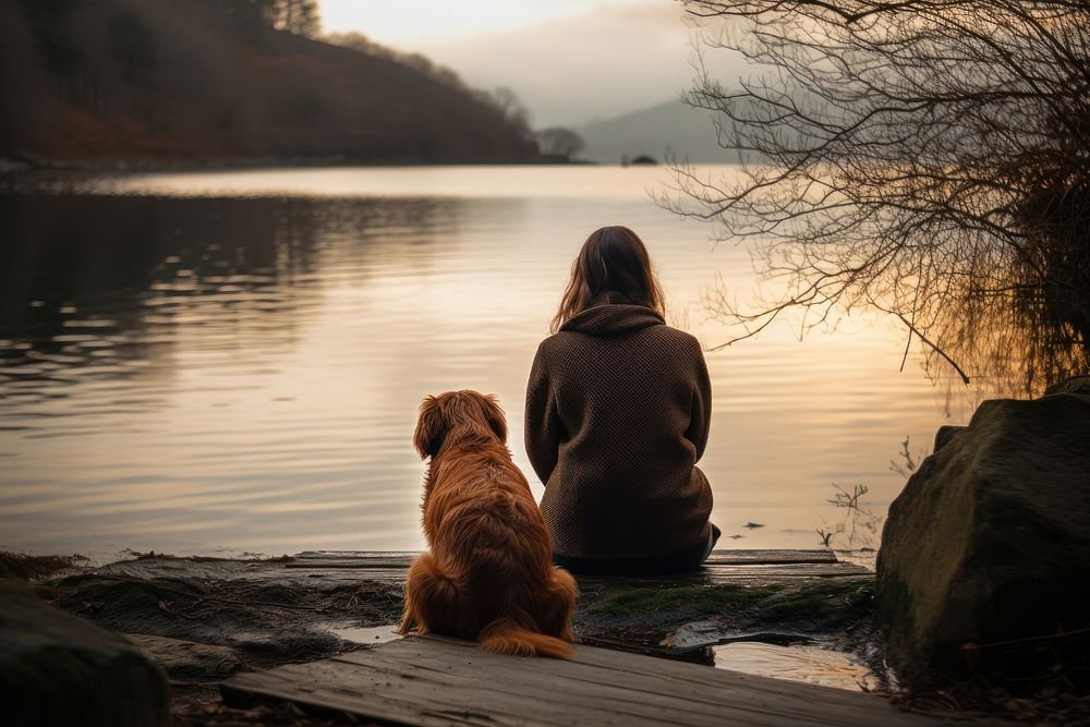 Lake dog outdoors sitting. 