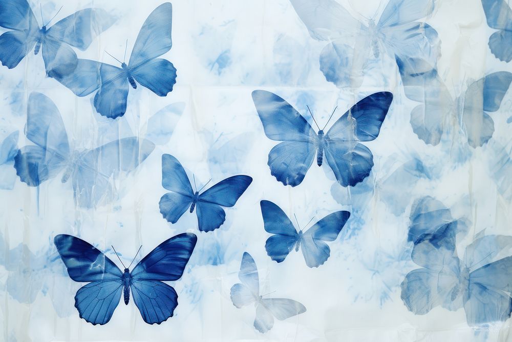 Butterflies backgrounds butterfly insect. AI generated Image by rawpixel.