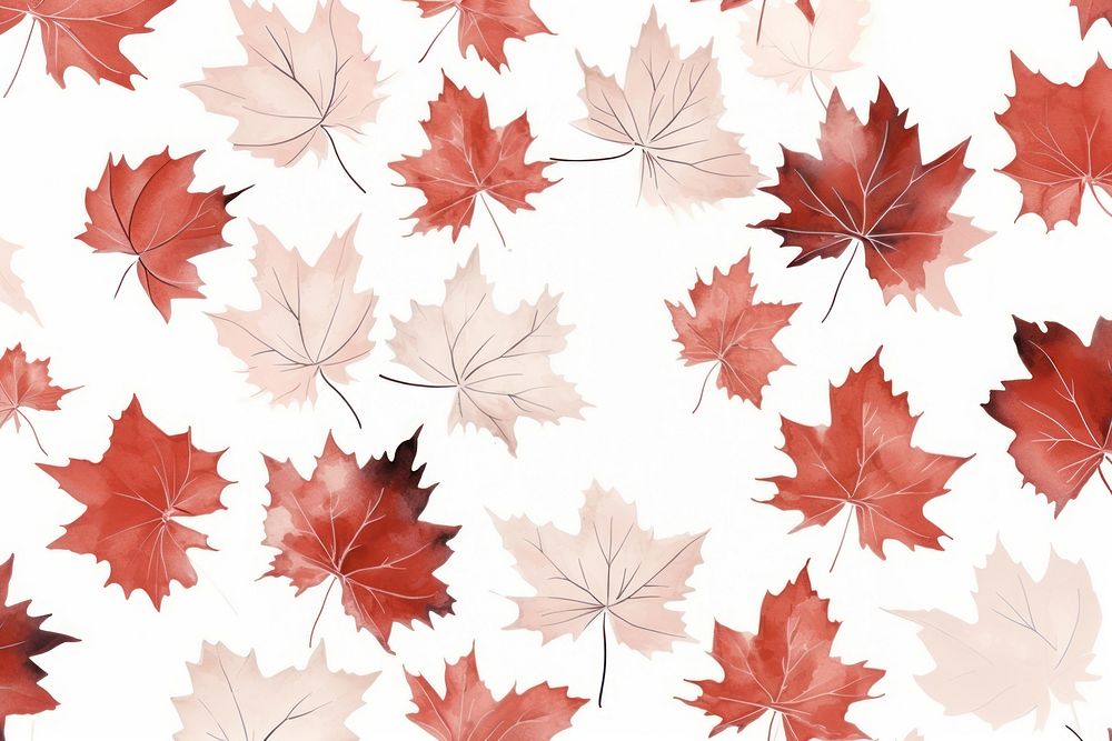 Maple leaf backgrounds wallpaper pattern. | Free Photo Illustration