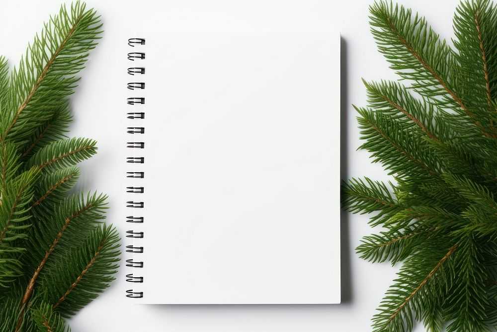 Plant tree page fir. AI generated Image by rawpixel.